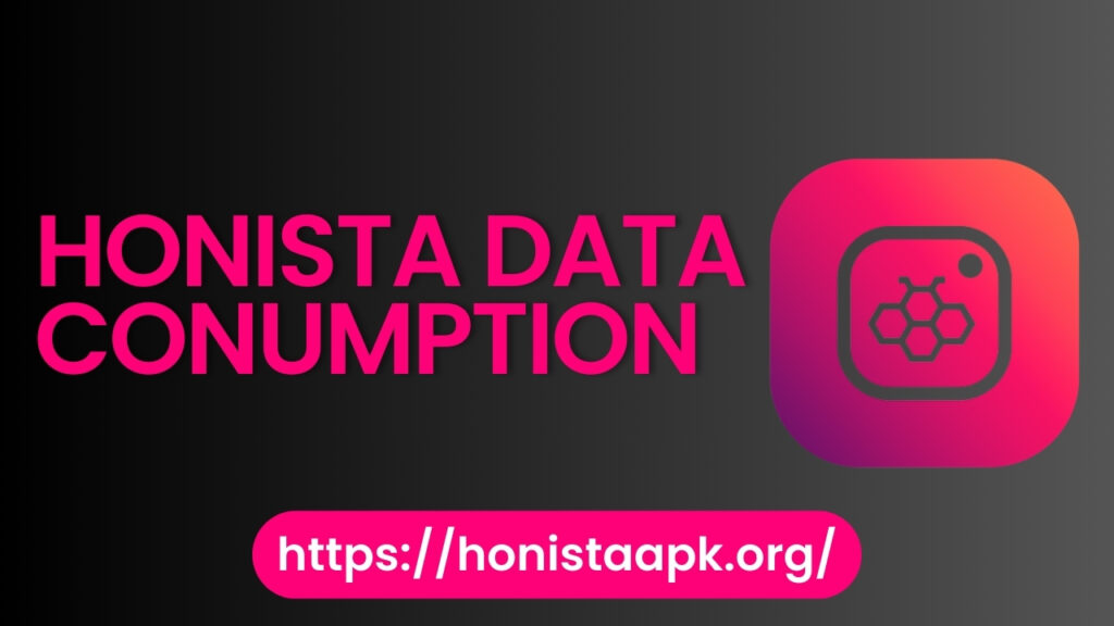 Honista Data Consumption